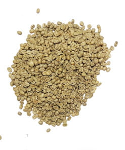 Catura Panama Specialty Coffee-1