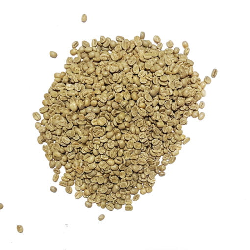 Catura Panama Specialty Coffee-1