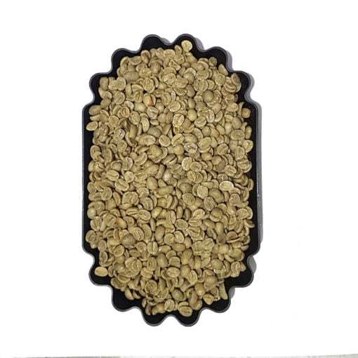 Columbia Supremo Screen 19-1