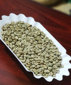 Top One Nicaragua Screen19 Green Coffee Beans