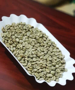 Top One Nicaragua Screen19 Green Coffee Beans