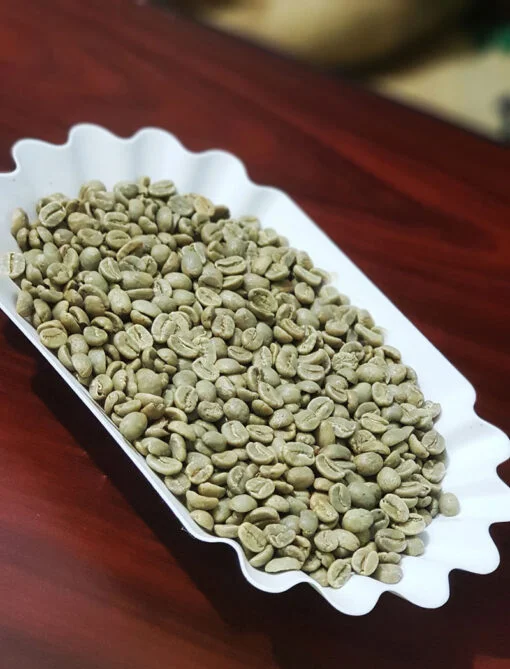 Top One Nicaragua Screen19 Green Coffee Beans