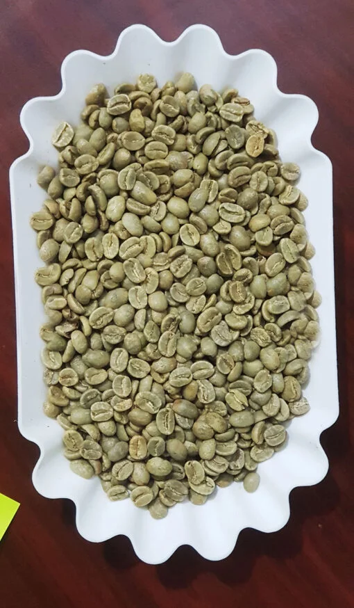 Top One Nicaragua Screen19 Green Coffee Beans - Image 5
