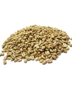 Ethiopia arabica lekempti coffee green beans