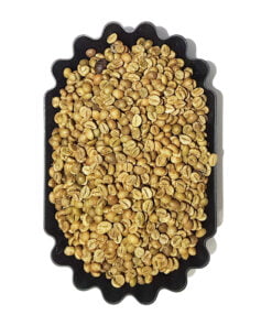 Top One Indian AA Coffee Green Beans
