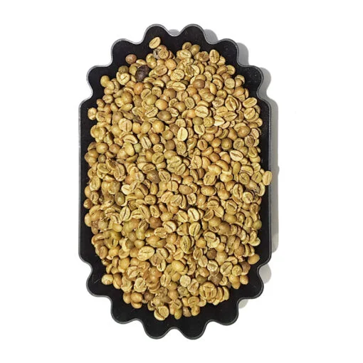 Top One Indian AA Coffee Green Beans