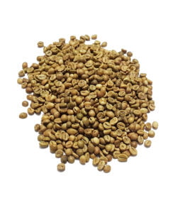 Top One Indian AA Coffee Green Beans