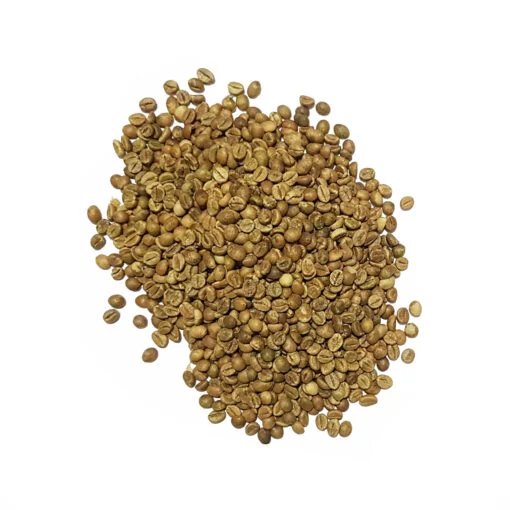 Top One Indian AA Coffee Green Beans