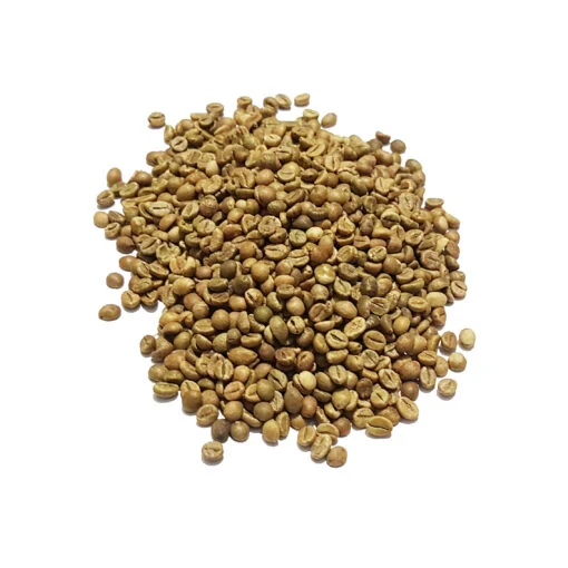 Top One Indian AA Coffee Green Beans