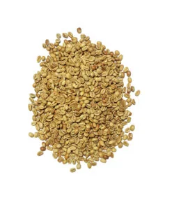 Indian Specialty 100% Arabica-2