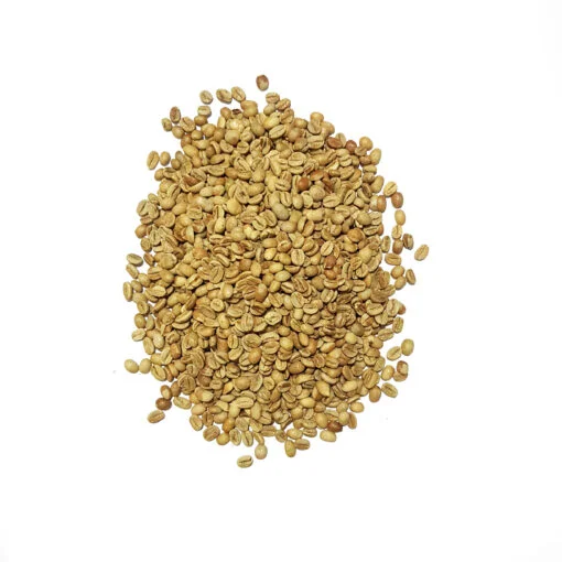 Indian Specialty 100% Arabica-2