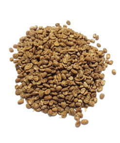 Top One Indonesia Garuda Specialty Green Coffee Beans