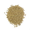 Nicaragua Arabica Screen 19