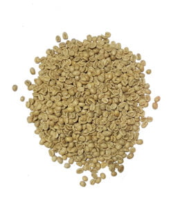 Nicaragua Arabica Screen 19