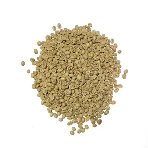 Nicaragua Arabica Screen 19