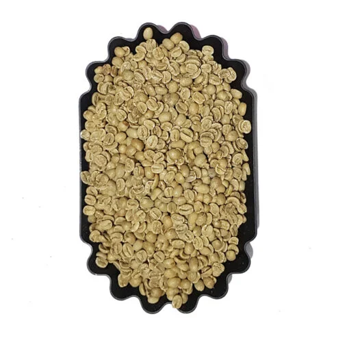 Nicaragua Arabica Screen 19