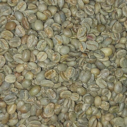 Kava Noir Kenya Specialty Green Coffee Beans