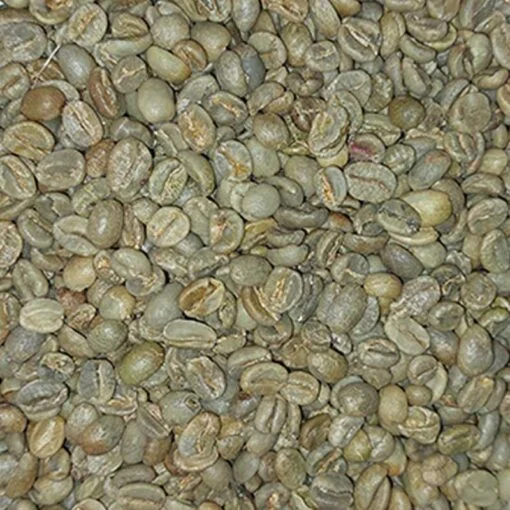 Kava Noir Kenya Specialty Green Coffee Beans