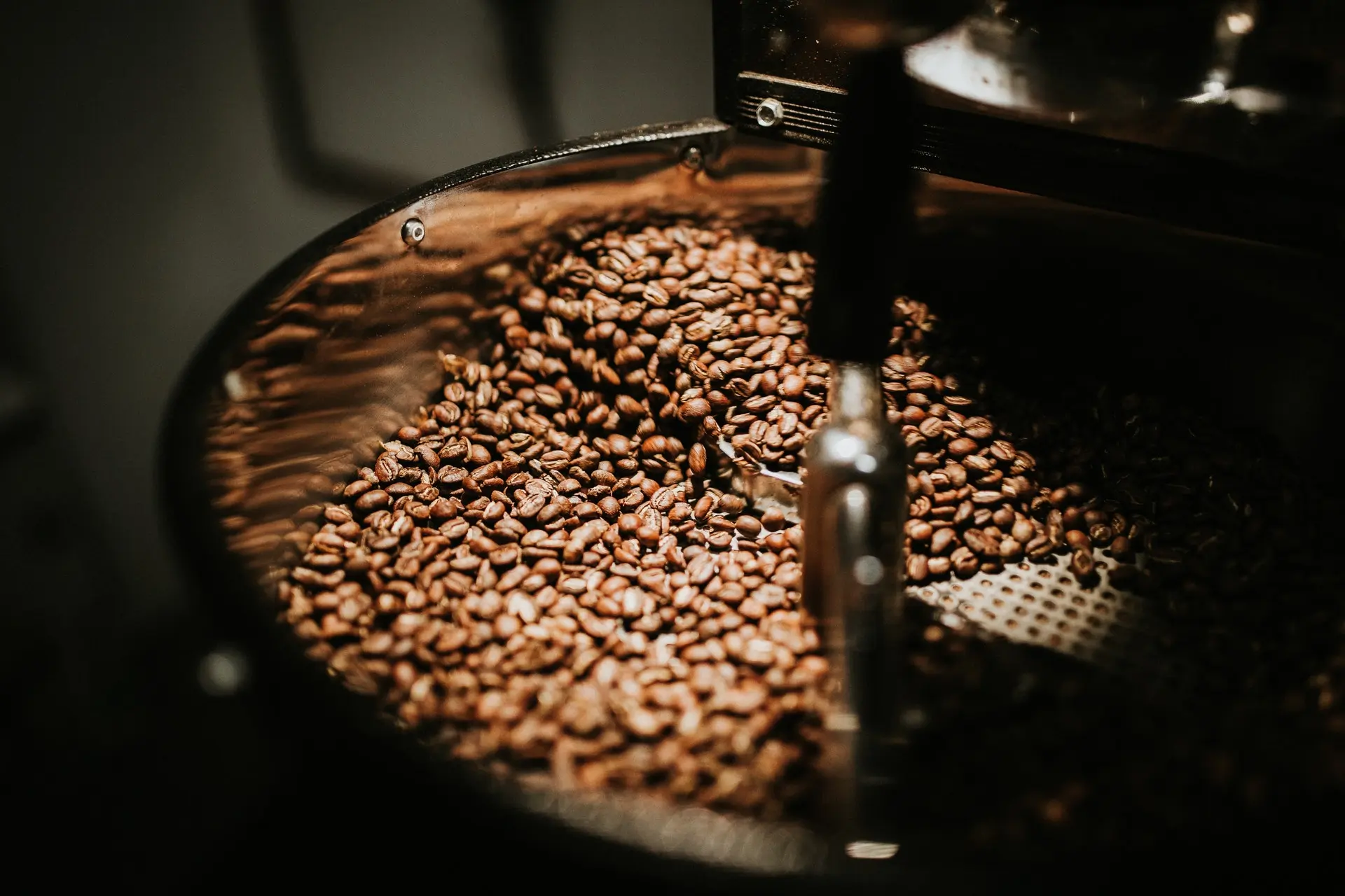 coffee roastery in dubai