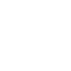 icons8 bag 100