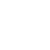 icons8 bag 100